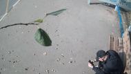 Онлайн камера: Умная остановка Техучилище 2 - Ленина 10 | Каменск-Уральский