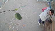 Онлайн камера: Умная остановка Техучилище 2 - Ленина 10 | Каменск-Уральский