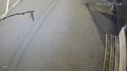 Онлайн камера: Умная остановка Техучилище 2 - Ленина 10 | Каменск-Уральский