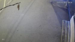 Онлайн камера: Умная остановка Техучилище 2 - Ленина 10 | Каменск-Уральский