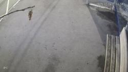 Онлайн камера: Умная остановка Техучилище 2 - Ленина 10 | Каменск-Уральский