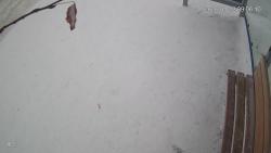 Онлайн камера: Умная остановка Техучилище 2 - Ленина 10 | Каменск-Уральский