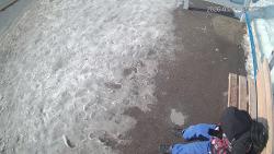 Онлайн камера: Умная остановка Техучилище 2 - Ленина 10 | Каменск-Уральский