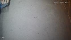 Онлайн камера: Умная остановка Техучилище Парк 1 - Ленина 9 | Каменск-Уральский