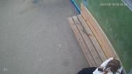 Онлайн камера: Умная остановка Техучилище Парк 2 - Ленина 9 | Каменск-Уральский