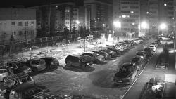 Жыныстық қатынаспен айналысады