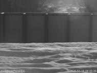 Онлайн камера: Аллея славы | Каменск-Уральский