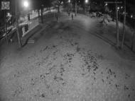 Онлайн камера: Парк Отдыха Космос - Я люблю Каменск | Каменск-Уральский