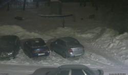 Онлайн камера: Фонтан Слонёнок | Каменск-Уральский