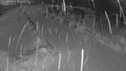 Онлайн камера: ул. Красных Орлов 4 (Березовая роща) | Каменск-Уральский