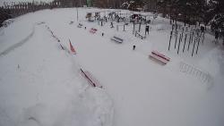 Онлайн камера: ул. Красных Орлов 4 (Березовая роща) | Каменск-Уральский