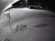 Онлайн камера: Озерная 6 - Остановка | Каменск-Уральский