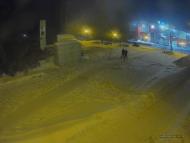 Онлайн камера: Мемориал Вечный Огонь - 1 (ТЦ Самородок) | Каменск-Уральский