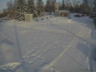 Онлайн камера: Мемориал Вечный Огонь - 2 (ТЦ Самородок) | Каменск-Уральский